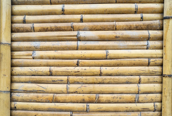 bamboo fence