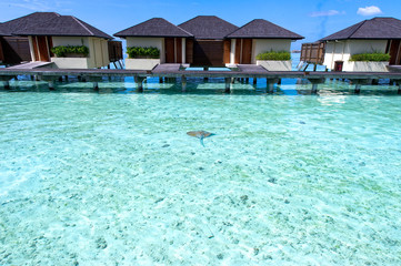 Paradise island in Maldives