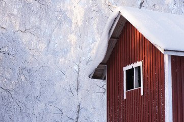 Old abandoned cottage in the woods. Snow covering roof and background trees.