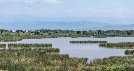 Panoramic view of Chamo Lake in southern Ethiopia.