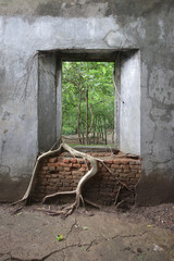 Obraz premium ancient brick window with nature and old concrete stone wall surrounding with tree roots outside view in historical temple for poster announcement