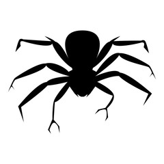 Spider Silhouette. Vector Illustration.