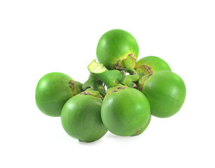 fresh betel nut isolated on white background
