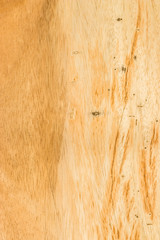 Fototapeta premium wood texture background
