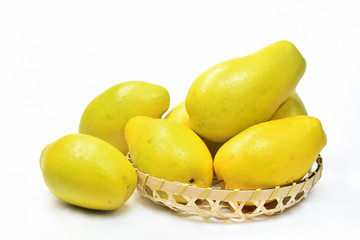 白背景のカリン