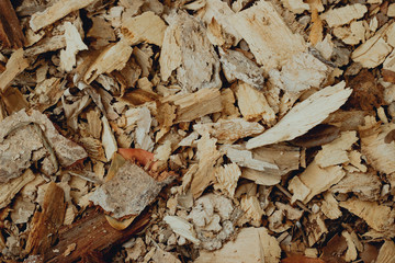 pile of firewood