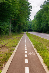 marking cycle path along summer forest