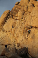 Climber in Joshua Tree National Park