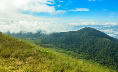 fresh green field on top of the mountain at Monjong, Chiang Mai, Thailand