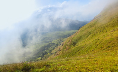 fresh green field on top of the mountain at Monjong, Chiang Mai, Thailand