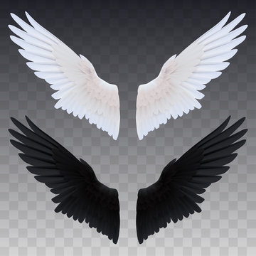 Bkack and white realistic wings