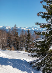 Winter in Seefeld, Tyrol, Austria