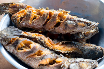 Fried striped snakehead fish