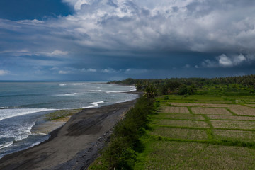 Arial shot of black sand beach and rice fields in Bali, Indonesia