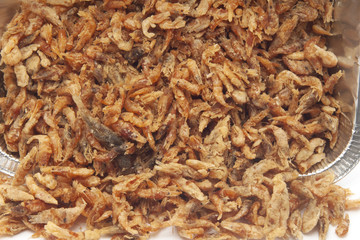 salterei gamberetti di acqua dolce fritti