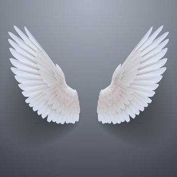 Realistic white wings