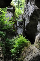 Fototapeta na wymiar Teufelshöhle bei Pottenstein in Franken
