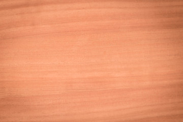 Obraz premium texture of wood