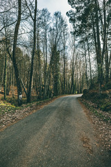 On the road again. Mountain road near to Arenas de San Pedro , Avila. Castilla Leon, Spain.