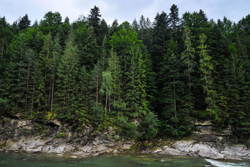 mountain river in the background of a cliff with a forest and mountains
