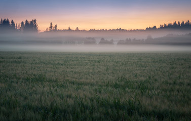 Bright summer night landscape with fog and afterglow in countryside Finland.