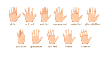 vector set of Different forms of palms for palmistry