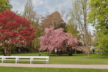 Dvorzhakov`s Garden, Karlovy Vary,  Czech Republic