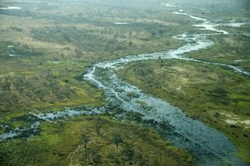 Fototapeta na wymiar aerial view of okavango
