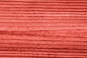 Vintage living coral wood texture. Abstract background.