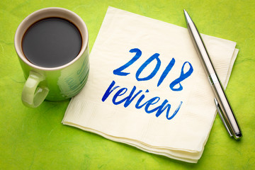 2018 review on napkin