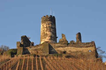 Burg Fürstenberg in Rheindiebach