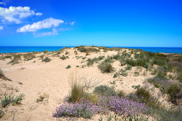 Playa beach in Alcossebre also Alcoceber