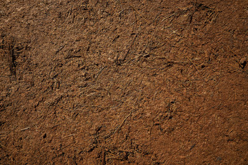Substratum texture pattern background for garden