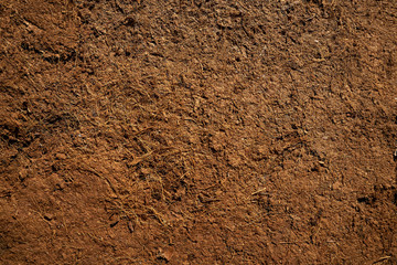 Substratum texture pattern background for garden