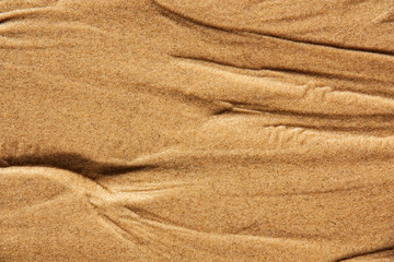 Texture of natural pattern on wet sand