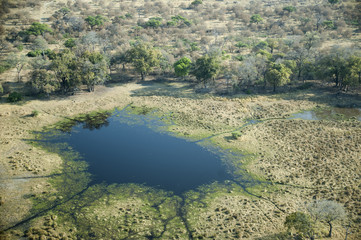 Fototapeta na wymiar aerial view of okavango delta
