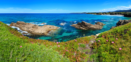 Atlantic blossoming coastline (Spain).