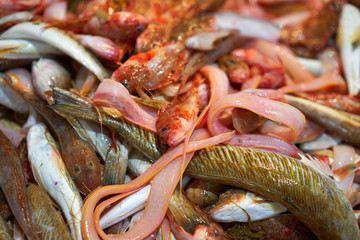 Fishes mix for fumet fish soup