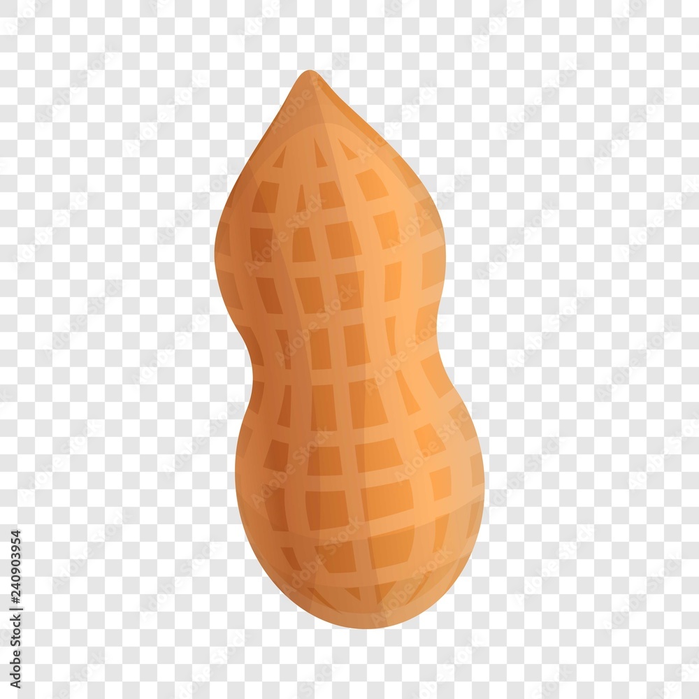 Poster peanut in shell icon. cartoon of peanut in shell vector icon for web design for web design