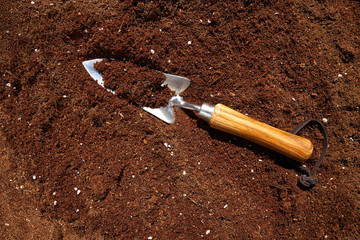 Garden trowel on organic substratum