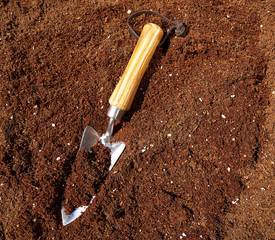 Garden trowel on organic substratum