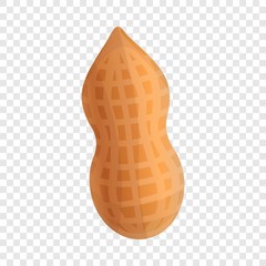 Peanut in shell icon. Cartoon of peanut in shell vector icon for web design for web design