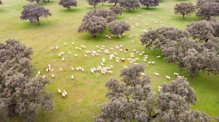 Beautiful aerial view of the coutryside