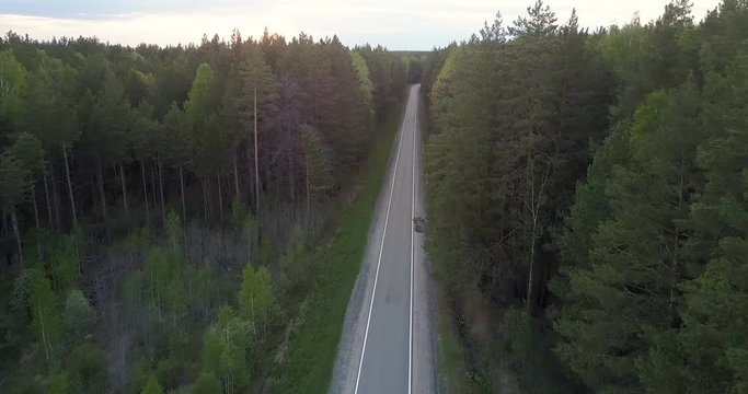 pictorial upper view empty modern highway among wild deep evergreen forest under evening sky