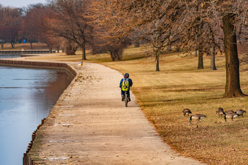 Man Riding Bicycle with Geese along the Shore of Diversey Harbor in Lincoln Park Chicago during Winter 