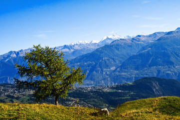 Fototapeta premium view of mountains Switzerland