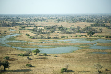 Fototapeta na wymiar aerial view of okavango delta