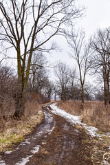 hiking trail through the woods