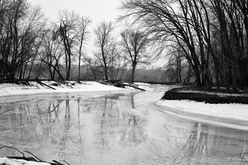 bare trees in winter along river