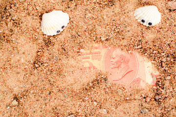 Two sea shells with googly eyes, lie on the sand and look at an old Soviet banknote. Ten rubles USSR with Lenin portrait close-up.